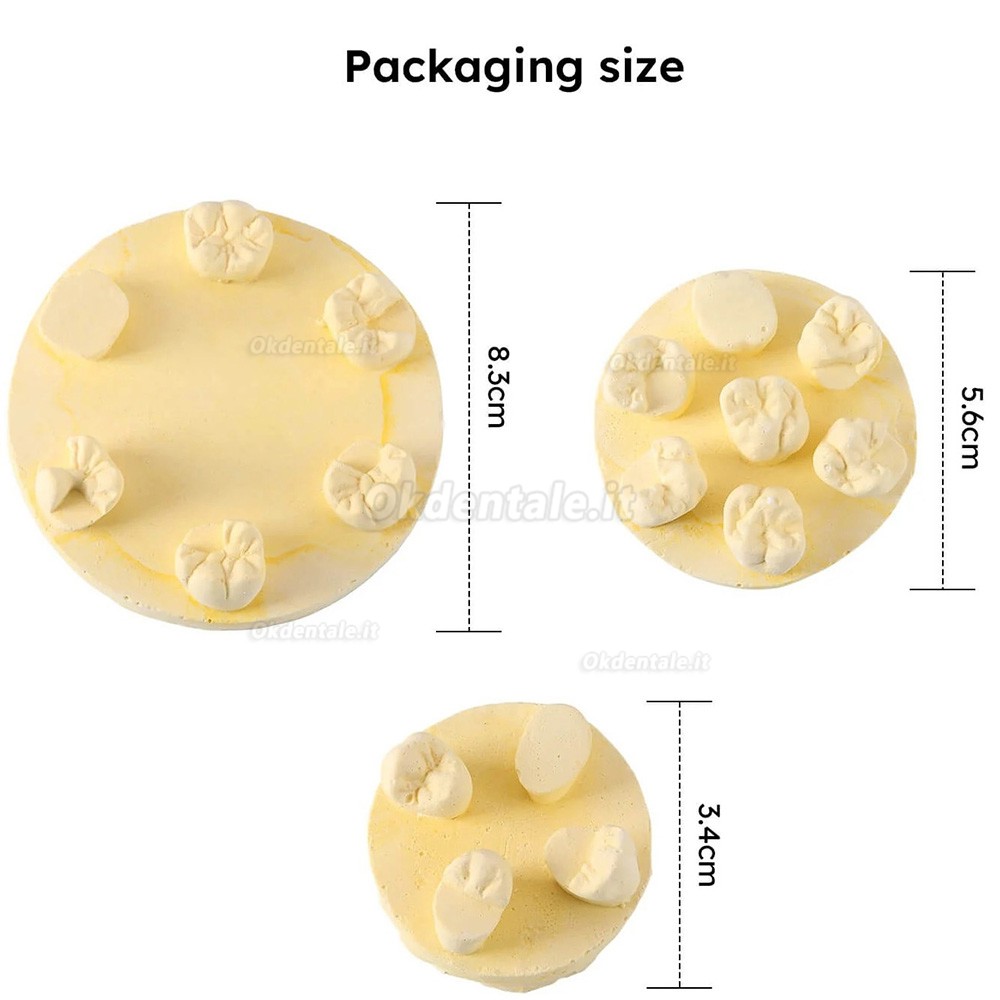 Kit di formazione per modelli di pratica della morfologia dei denti, 3 pezzi/confezione, posizioni U6/L6/U4 (gesso/resina)